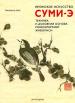 Японское искусство суми-э. Техника и духовная основа монохромной живописи